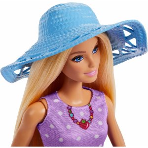 Barbie Family & Friends Picnic Playset